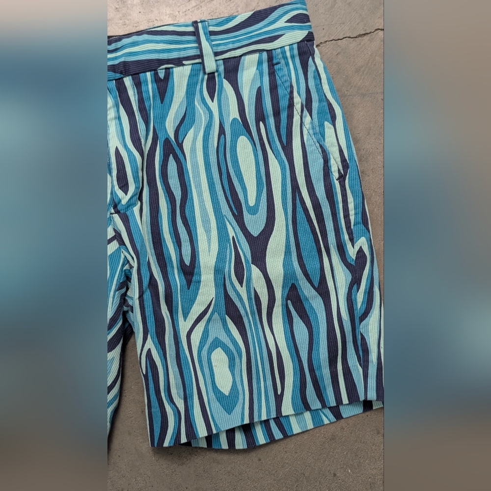 Mr. Turk Curdoroy Shorts, Size 30 - Picture 3 of 13
